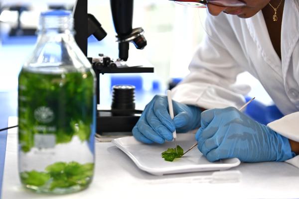 Marine Biotechnology & Bioactives